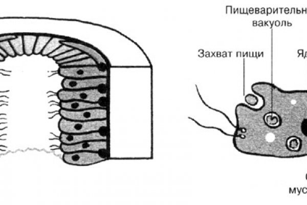 Bs ссылки telegraph