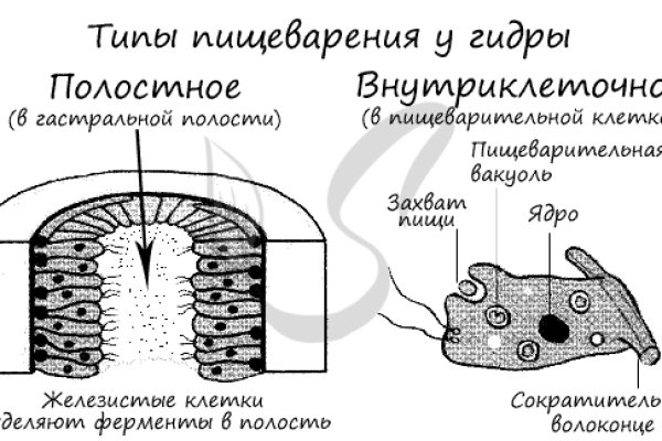 Black sprut ссылка bs2web top